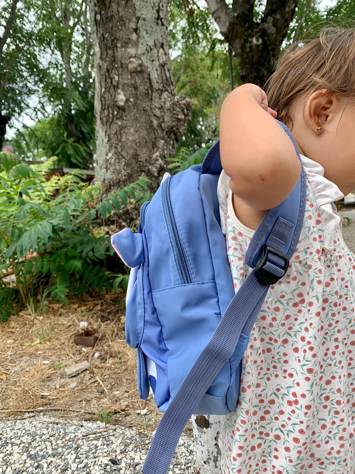 Mochila vaca